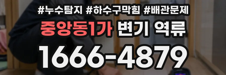 중앙동1가 변기 역류