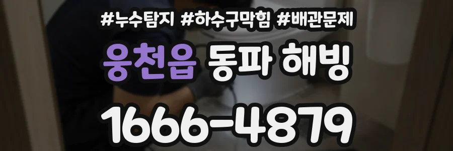 웅천읍 동파 해빙