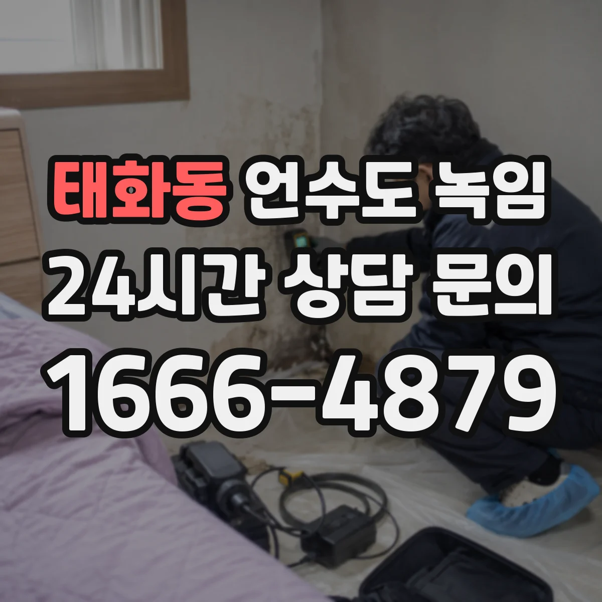 태화동 언수도 녹임