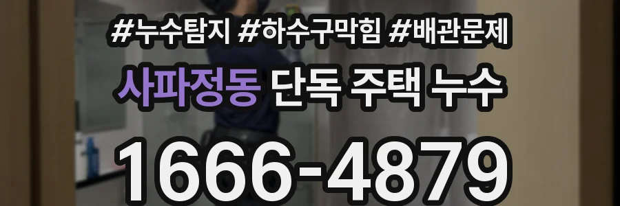 사파정동 단독 주택 누수