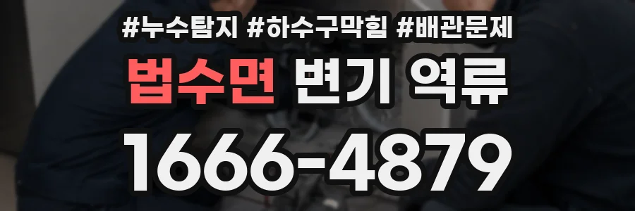 법수면 변기 역류