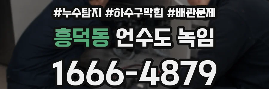 흥덕동 언수도 녹임