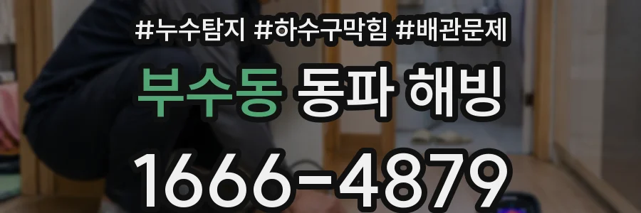 부수동 동파 해빙