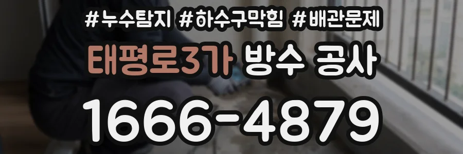 태평로3가 방수 공사