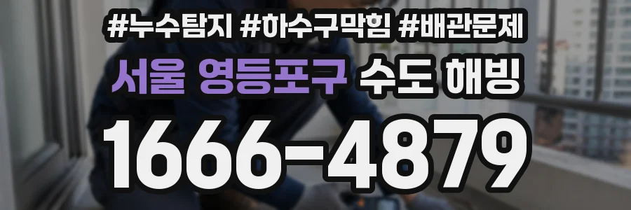 서울 영등포구 수도 해빙