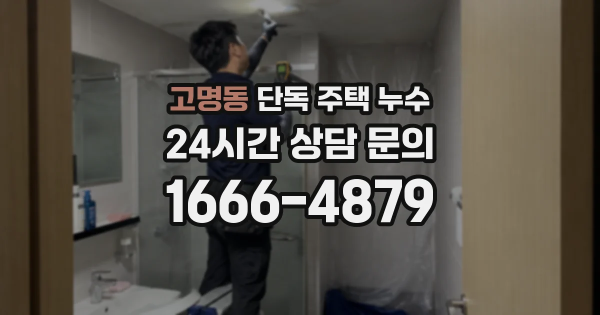 고명동 단독 주택 누수