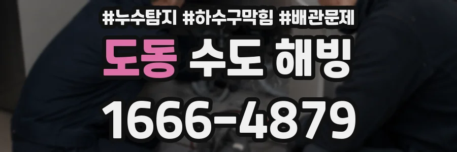 도동 수도 해빙