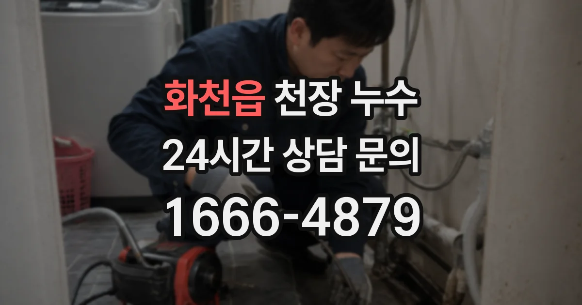 화천읍 천장 누수