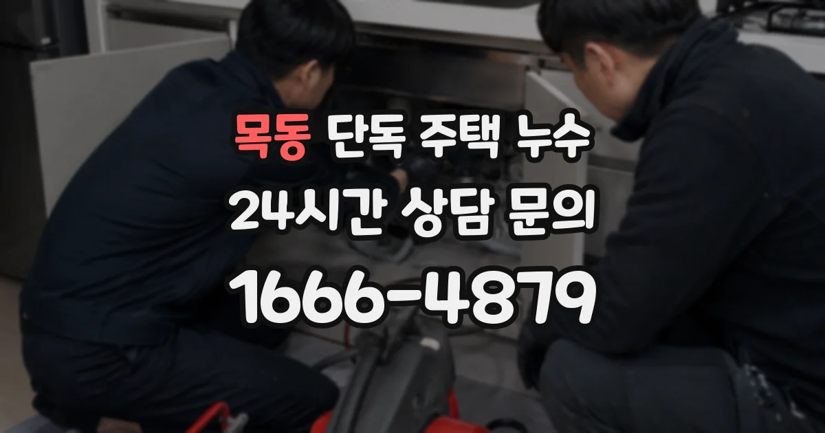 목동 단독 주택 누수