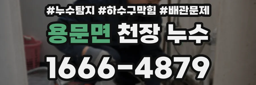 용문면 천장 누수