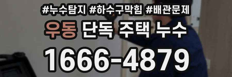 우동 단독 주택 누수