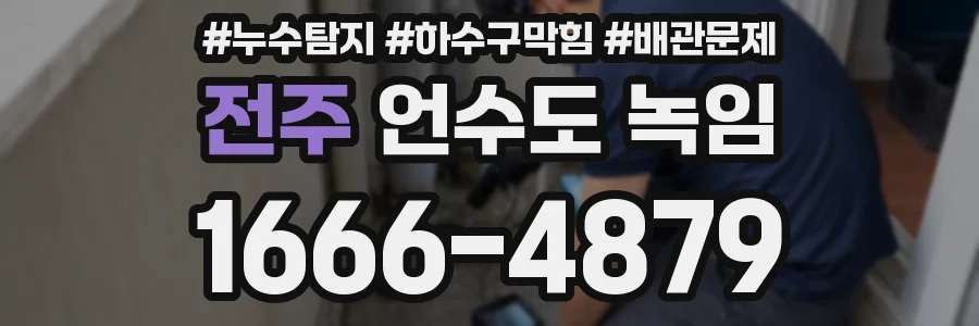 전주 언수도 녹임