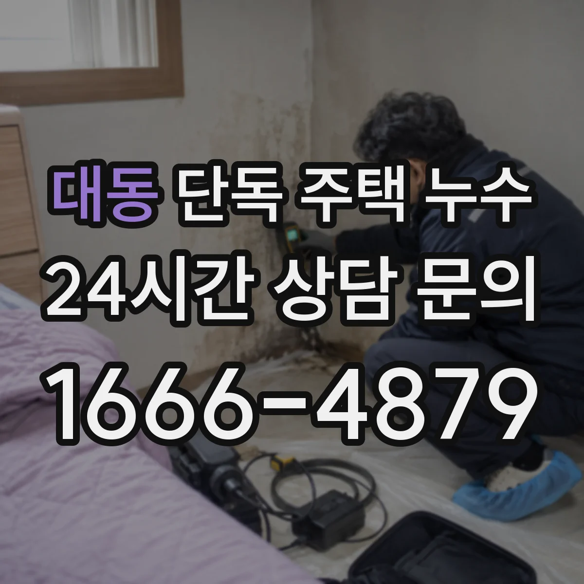 대동 단독 주택 누수