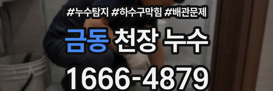 금동 천장 누수