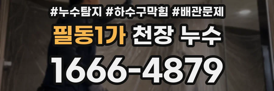필동1가 천장 누수