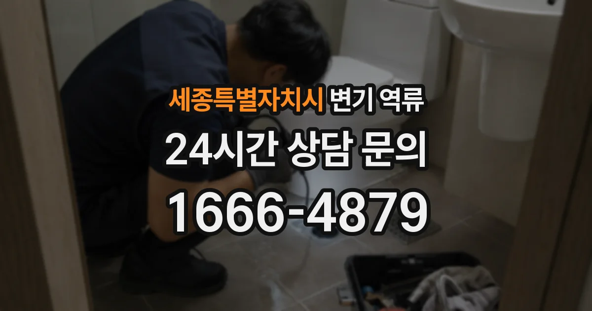 세종특별자치시 변기 역류