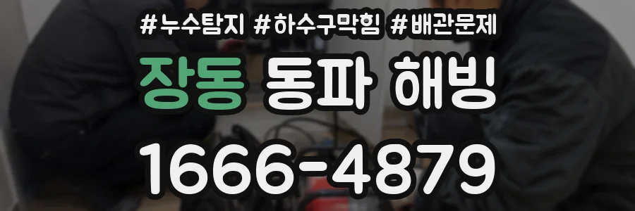 장동 동파 해빙