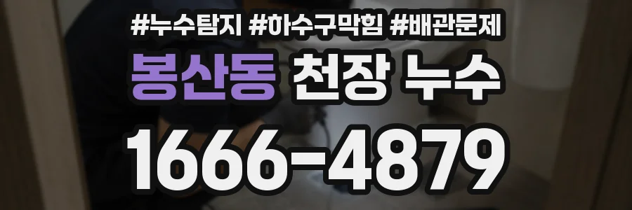 봉산동 천장 누수