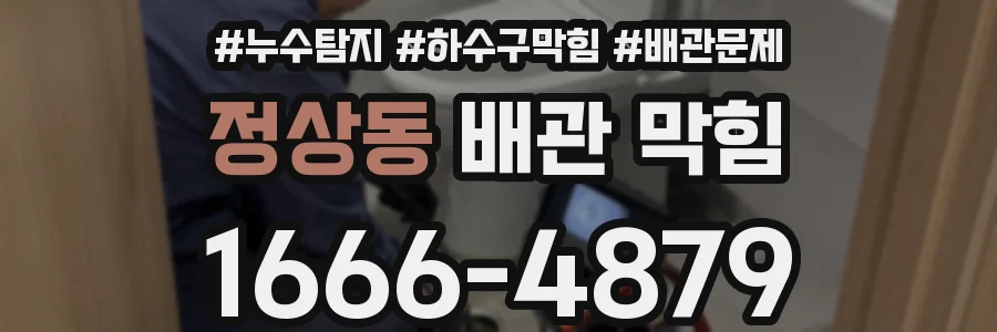 정상동 배관 막힘