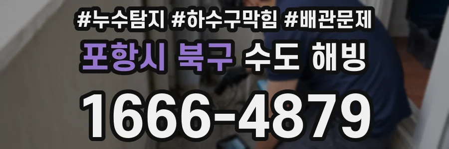 포항시 북구 수도 해빙