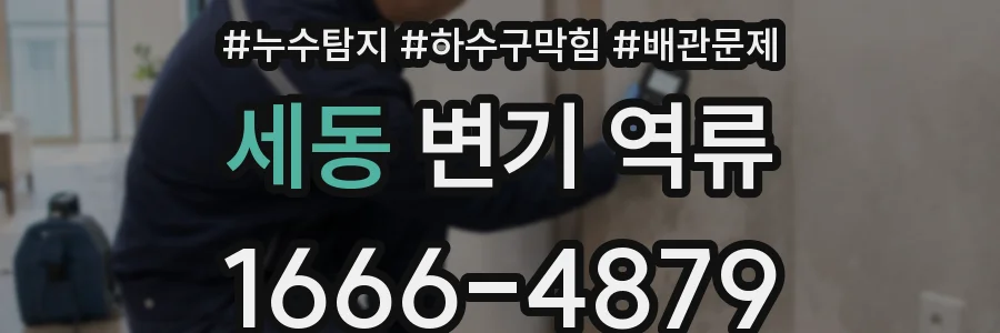 세동 변기 역류