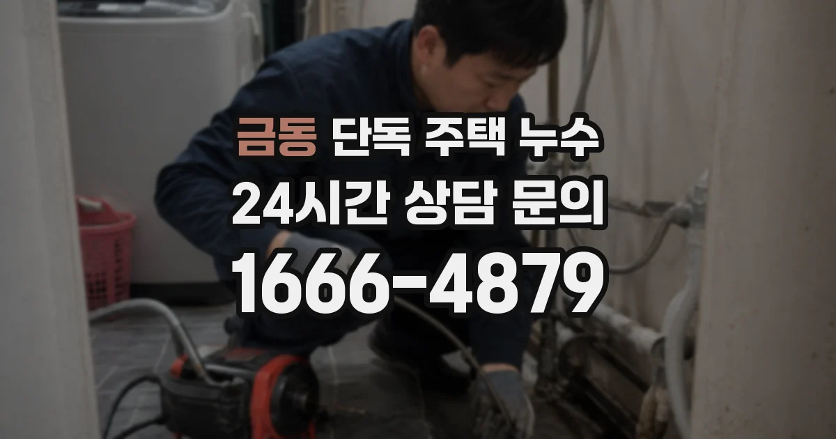 금동 단독 주택 누수