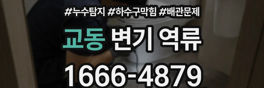 교동 변기 역류
