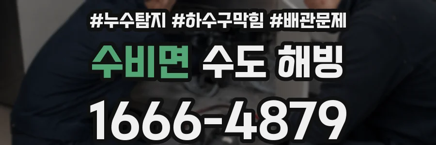 수비면 수도 해빙