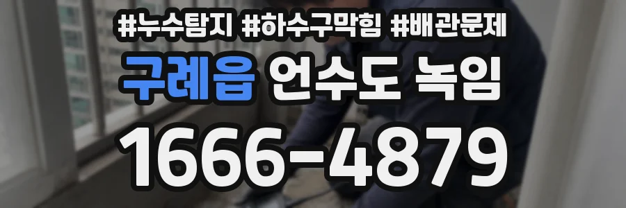 구례읍 언수도 녹임