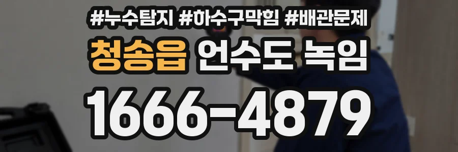 청송읍 언수도 녹임