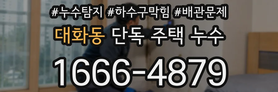 대화동 단독 주택 누수