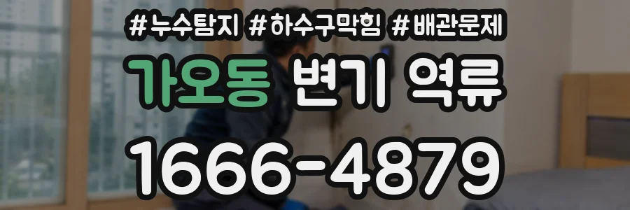 가오동 변기 역류