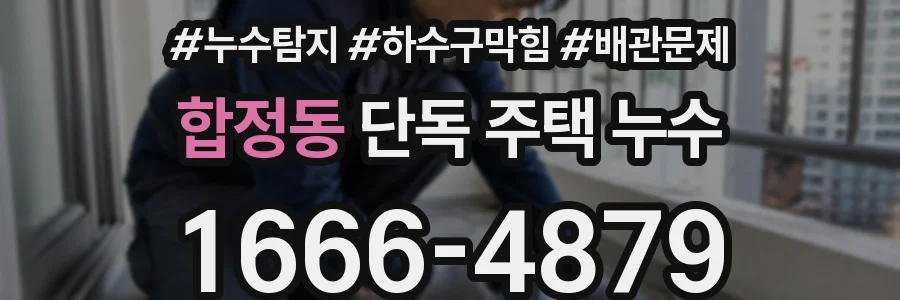 합정동 단독 주택 누수