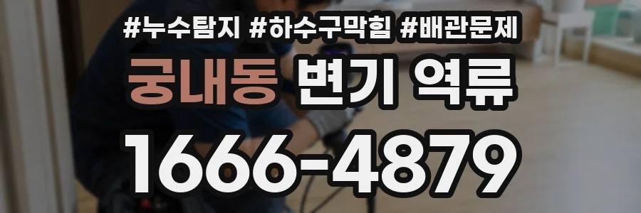 궁내동 변기 역류