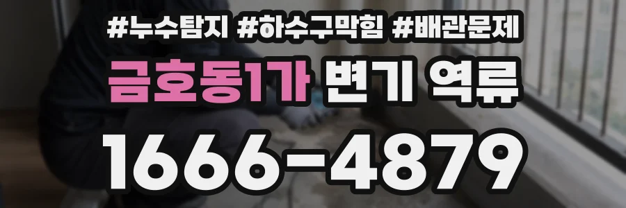 금호동1가 변기 역류