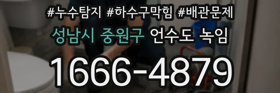성남시 중원구 언수도 녹임