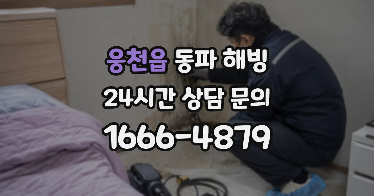 웅천읍 동파 해빙