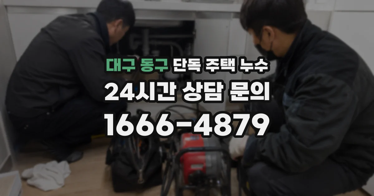 대구 동구 단독 주택 누수