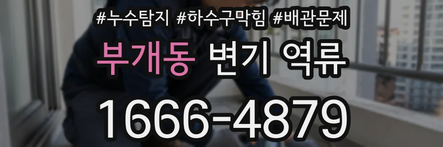 부개동 변기 역류