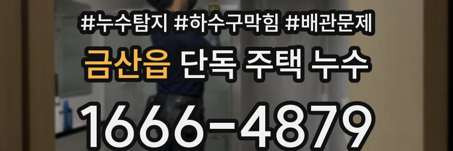 금산읍 단독 주택 누수