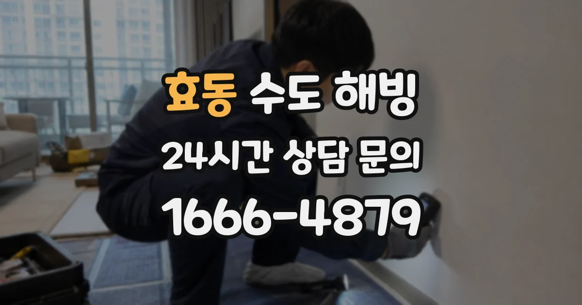 효동 수도 해빙