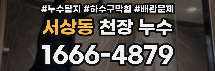 서상동 천장 누수