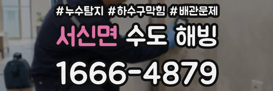 서신면 수도 해빙
