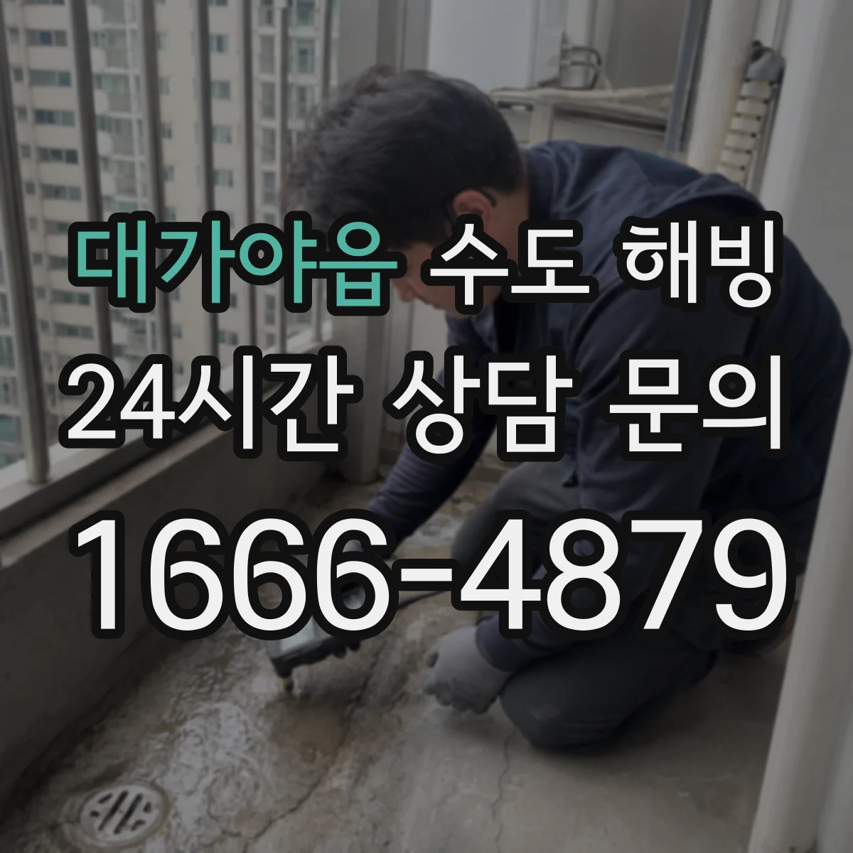 대가야읍 수도 해빙