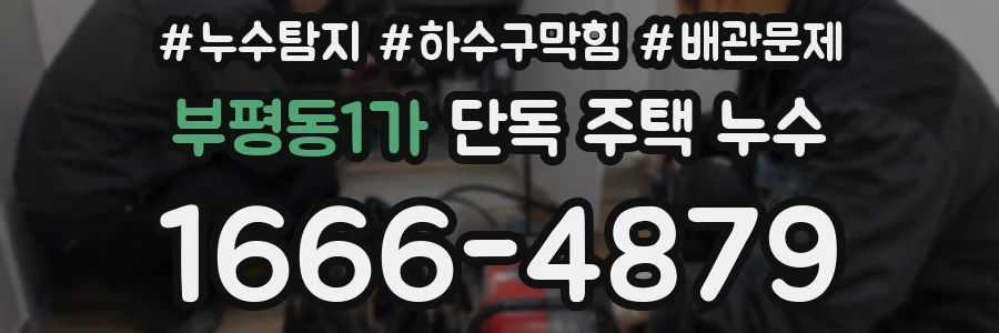 부평동1가 단독 주택 누수