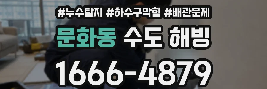 문화동 수도 해빙