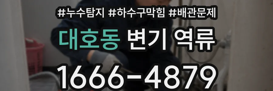 대호동 변기 역류