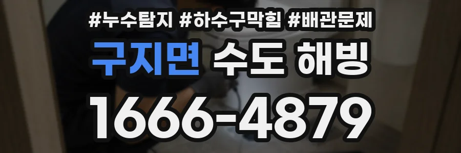 구지면 수도 해빙