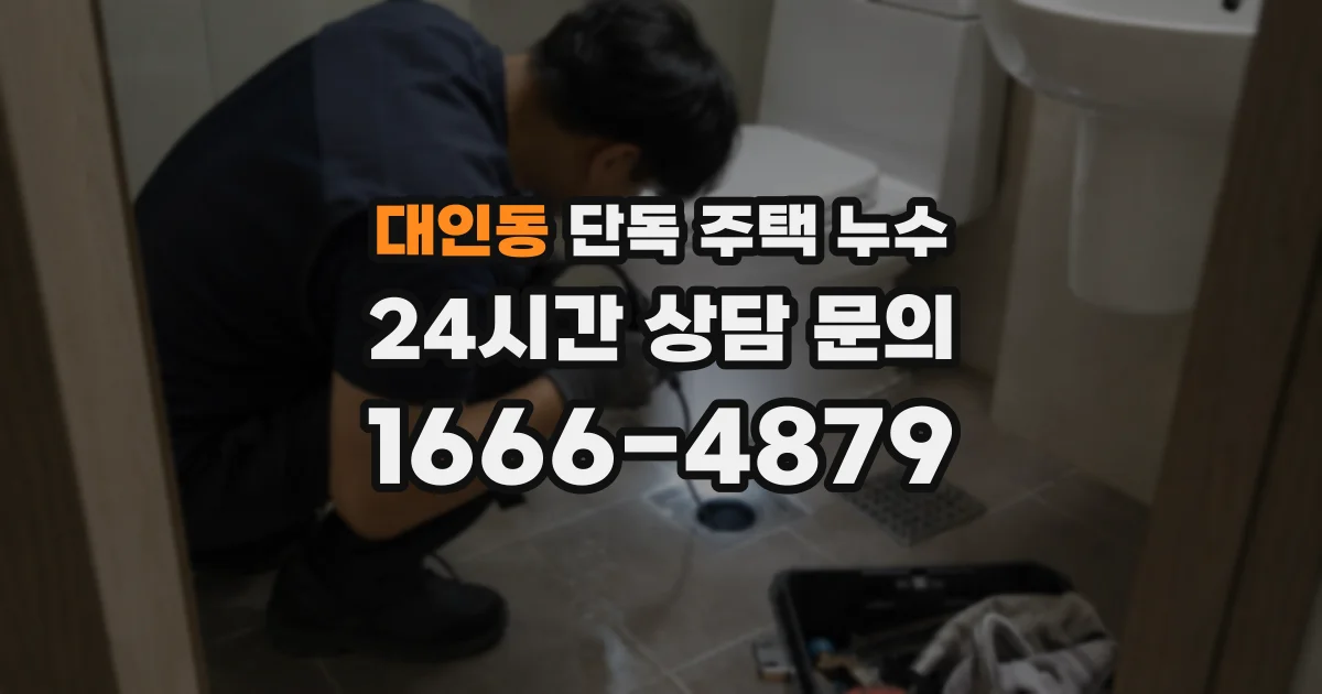 대인동 단독 주택 누수