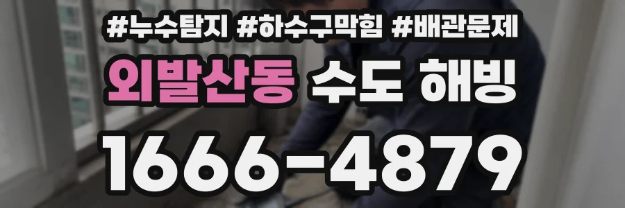 외발산동 수도 해빙